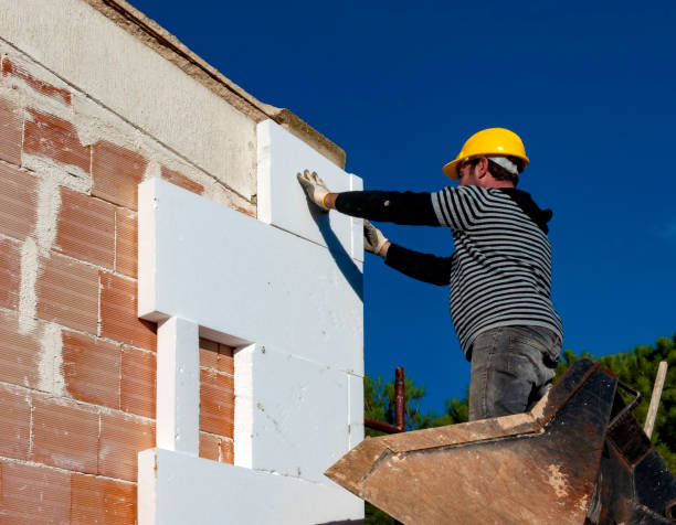 Types of Insulation We Offer in La Grulla, TX