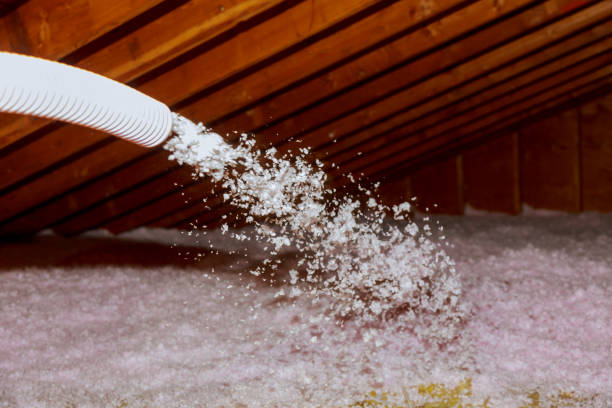 Best Cellulose Insulation in La Grulla, TX