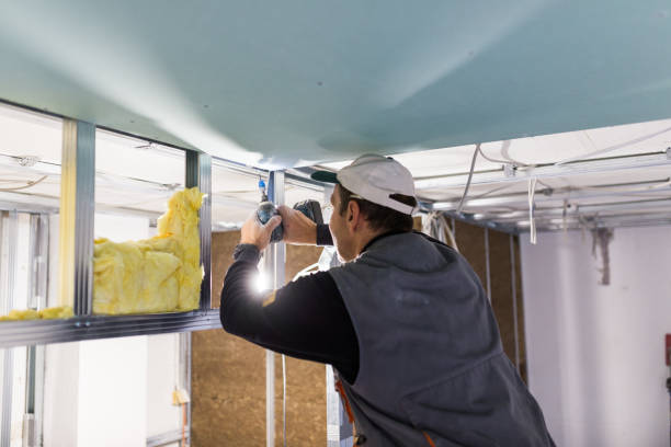 Best DIY Insulation Kits and Guidance in La Grulla, TX