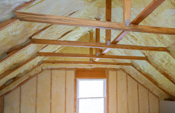 Best Geographic-Specific Insulation Services in La Grulla, TX