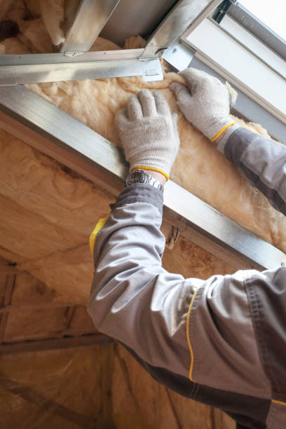 Best Commercial Insulation in La Grulla, TX