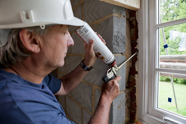 Trusted La Grulla, TX Insulation Contractor Experts