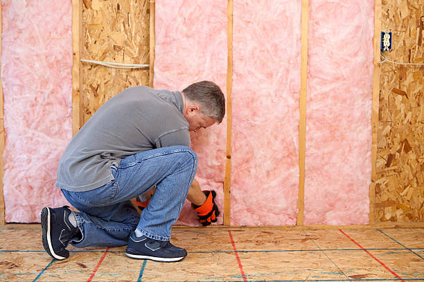 Best Energy Efficiency Insulation in La Grulla, TX