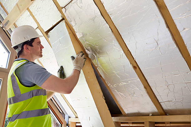 Best Residential Insulation in La Grulla, TX