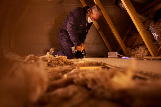 Best Fiberglass Insulation in La Grulla, TX
