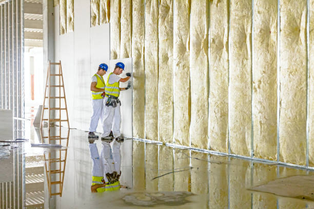 Best Eco-Friendly Insulation in La Grulla, TX
